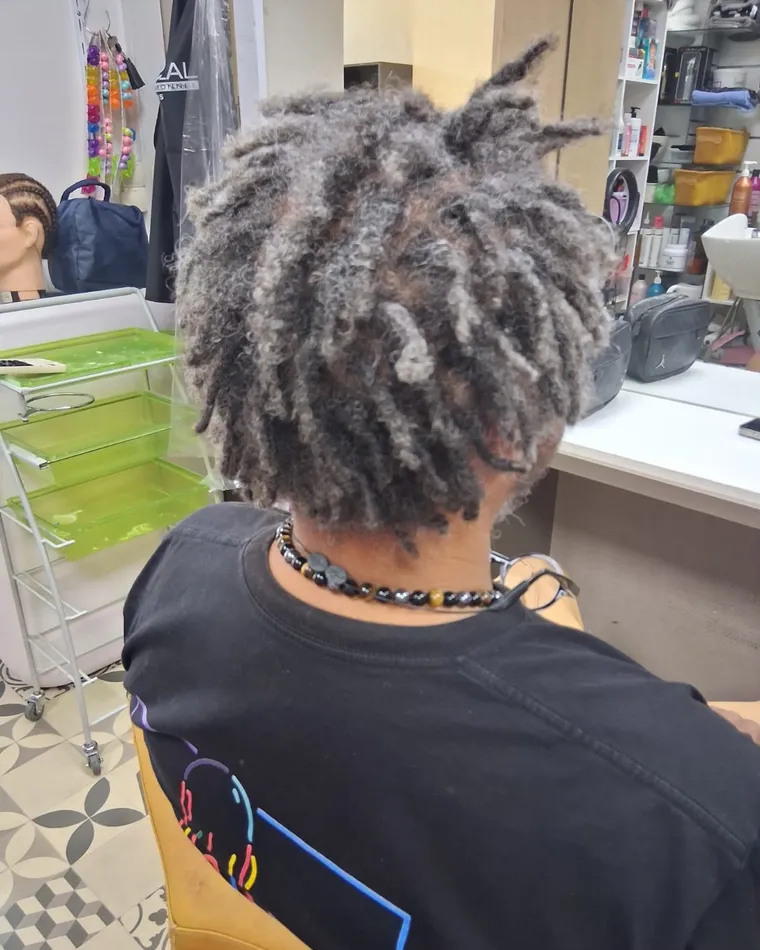 Locks, entretien et reprise