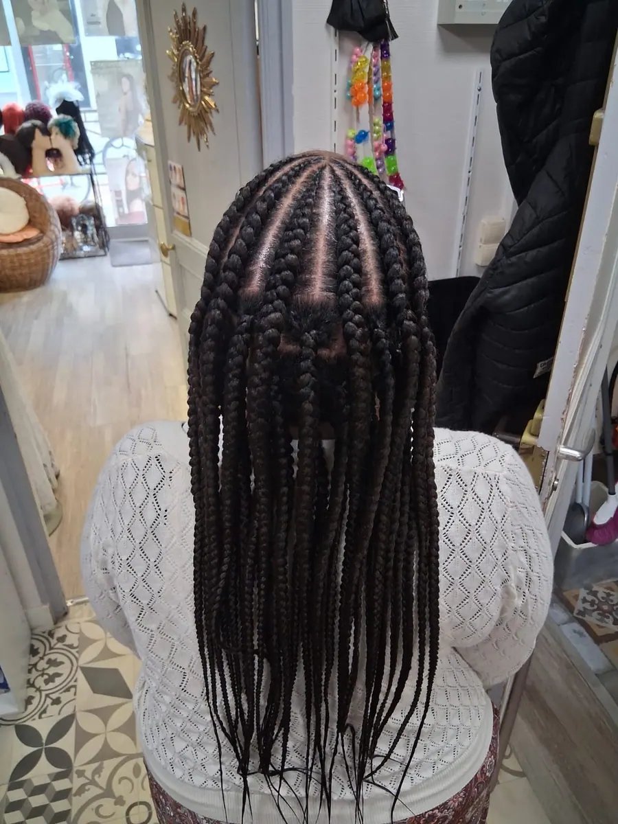 Box braids, vue de dos