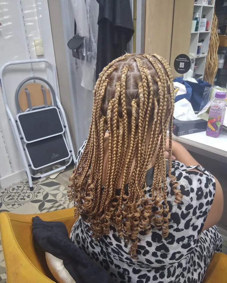 Braids longues, mèches blondes